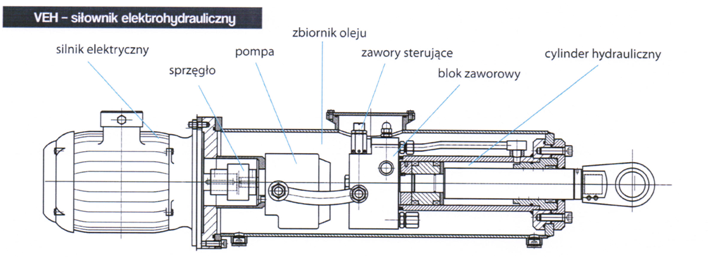 zahn2
